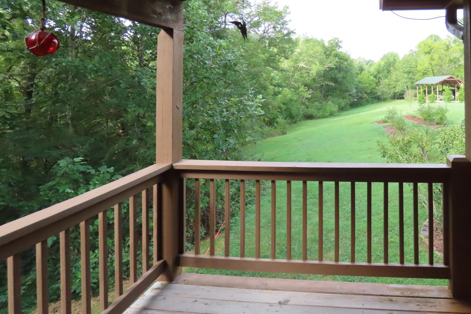 Scenic Fox Ridge Cabin On 4 Acres With Hot Tub! Whittier Extérieur photo